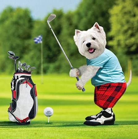 GOLF ROUND