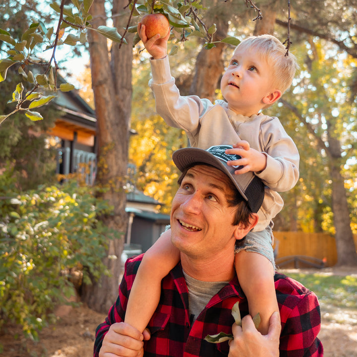 Dad Flannel